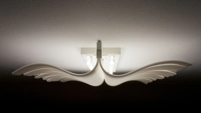Wings_03